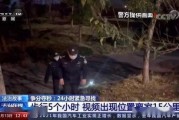 在线观看  聚焦,在线观看时代的崛起与变革
