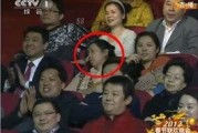 最新春晚爆料视频,最新爆料视频带你领略精彩瞬间
