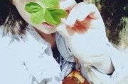 吃瓜网红张子凡,吃瓜网红的瓜田奇遇记
