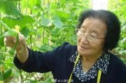 娱乐吃瓜酱不喜欢冬天,娱乐吃瓜酱偏爱暖阳时光
