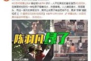 邯郸出轨爆料视频最新版,真相与争议再起