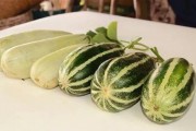 网红吃瓜微信号大全最新,带你领略网络红人的最新动态
