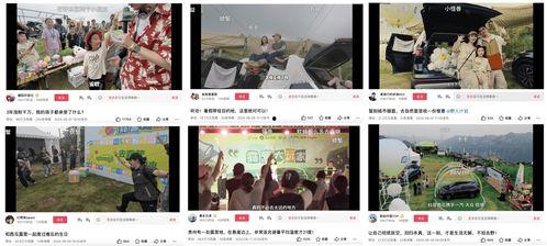 娱乐吃瓜视频剪映,揭秘娱乐圈幕后吃瓜大揭秘!